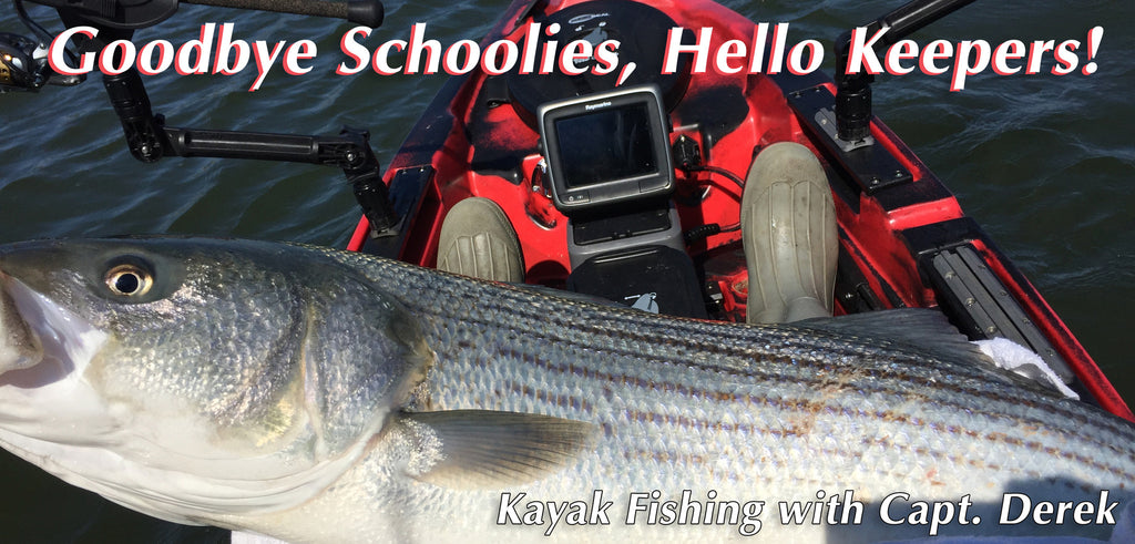 Goodbye Schoolies, Hello Keepers!