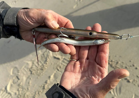 Why Needlefish Lures Are Deadly for Striped Bass