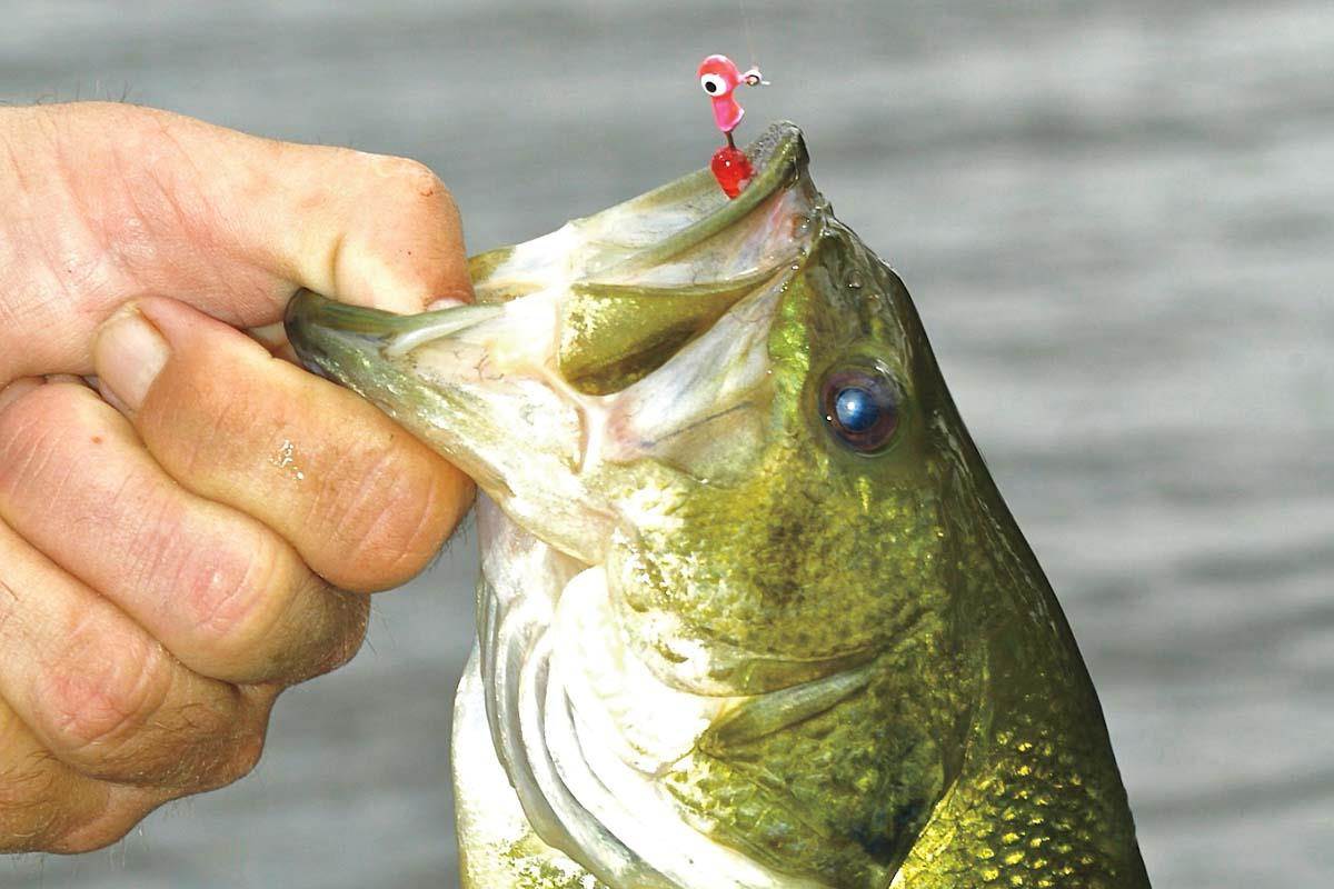 Largemouth Bass Fishing in August: Hot Weather, Hotter Bites Largemouth Bass Fishing in August: Hot Weather, Hotter Bites