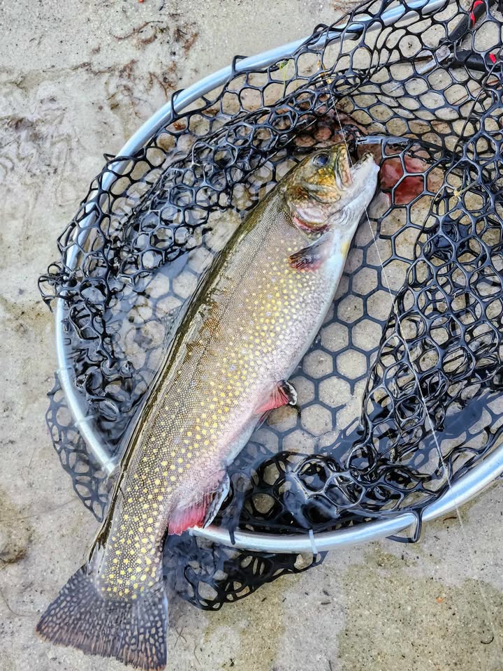 Cape Cod Fishing Forecast-April