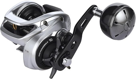 Should You Be Using Baitcasting Reels for Your Saltwater Fishing?