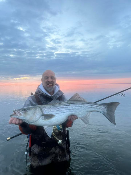 Striped Bass Behavior at 55-Degree Water Temperatures