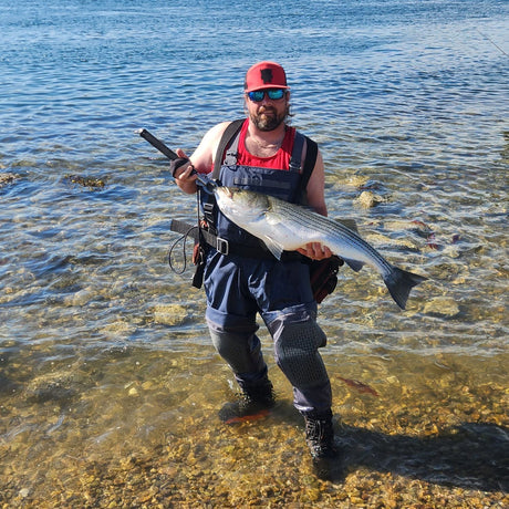 Are Striped Bass Really Recovering? What the Latest Science Says