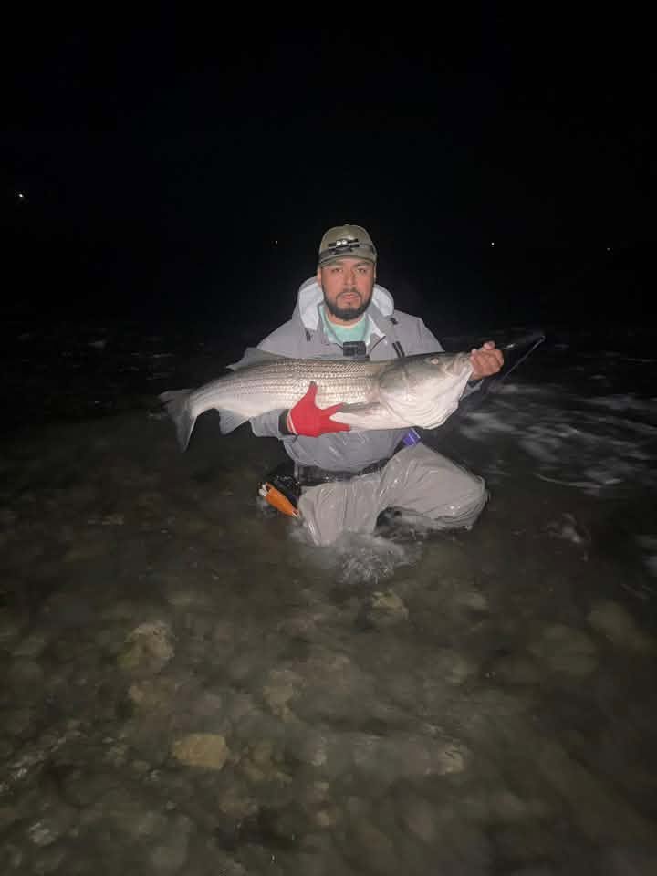 Nighttime Is the Right Time for Stripers on Cape Cod