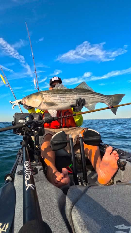 Striped Bass Behavior at 65+ Degree Water Temperatures on Cape Cod