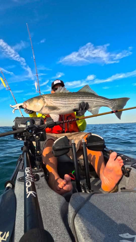 Striped Bass Behavior at 65+ Degree Water Temperatures on Cape Cod