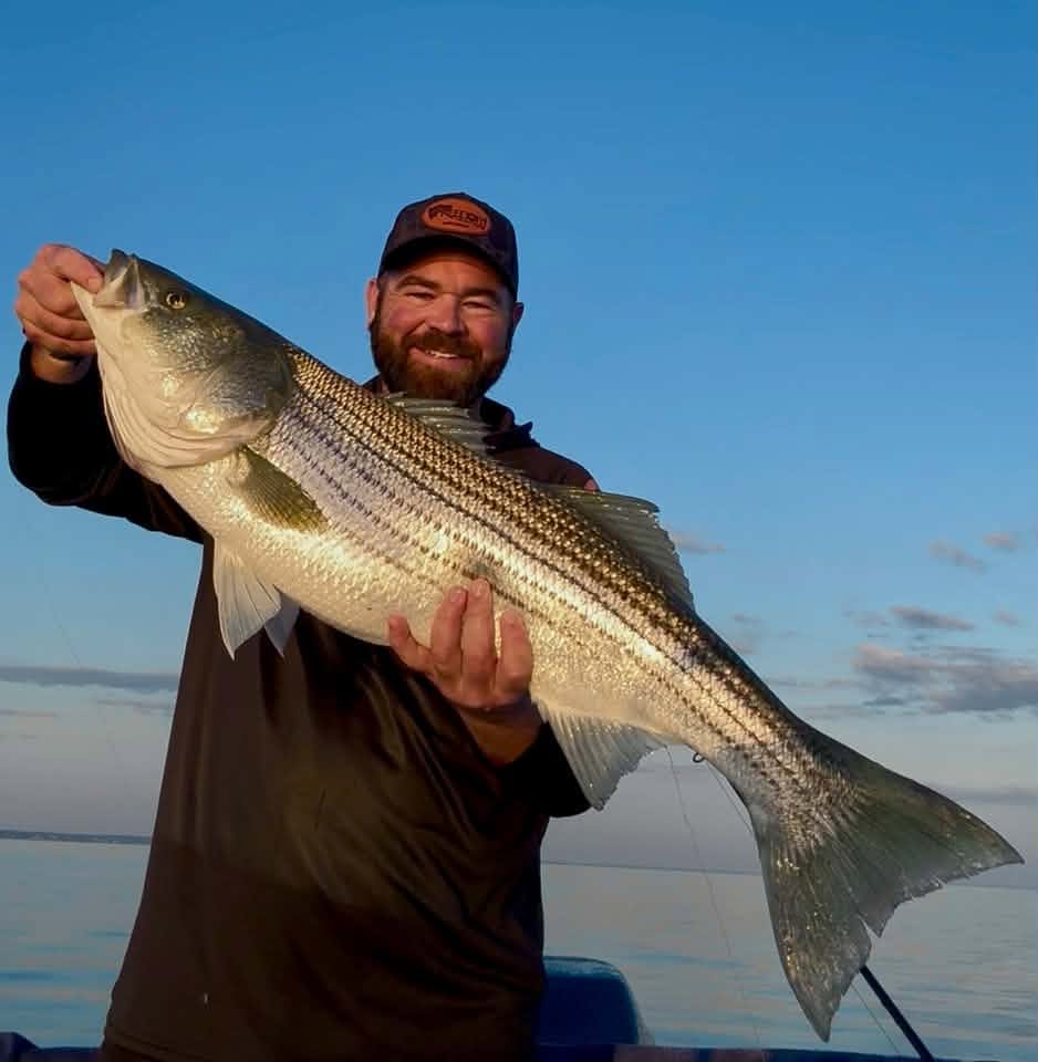 What the Explosion of Big Stripers on Cape Cod Could Mean for the Future of the Fishery
