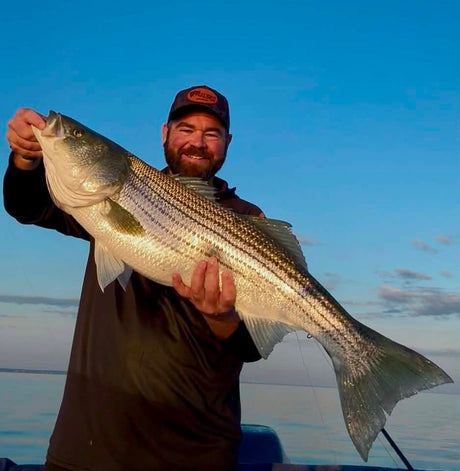 What the Explosion of Big Stripers on Cape Cod Could Mean for the Future of the Fishery
