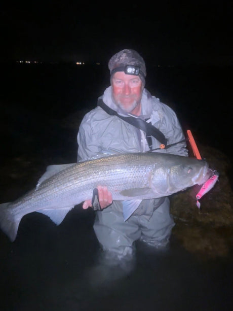 Cape Cod’s September Fishing Explosion: What’s About to Happen