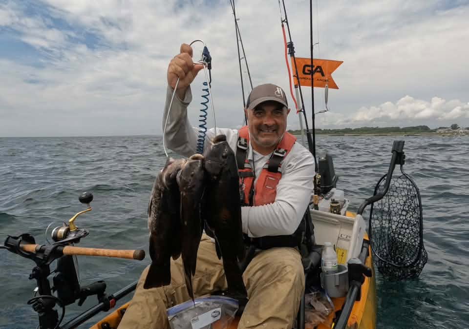 The Dog Days Are Still Fishing Days: Cape Cod Fisheries Remain Productive in August!