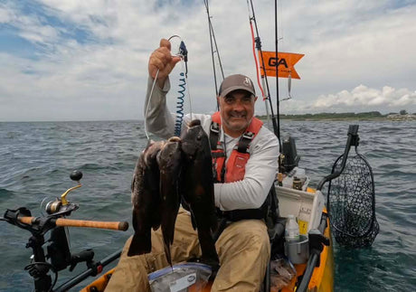 The Dog Days Are Still Fishing Days: Cape Cod Fisheries Remain Productive in August!
