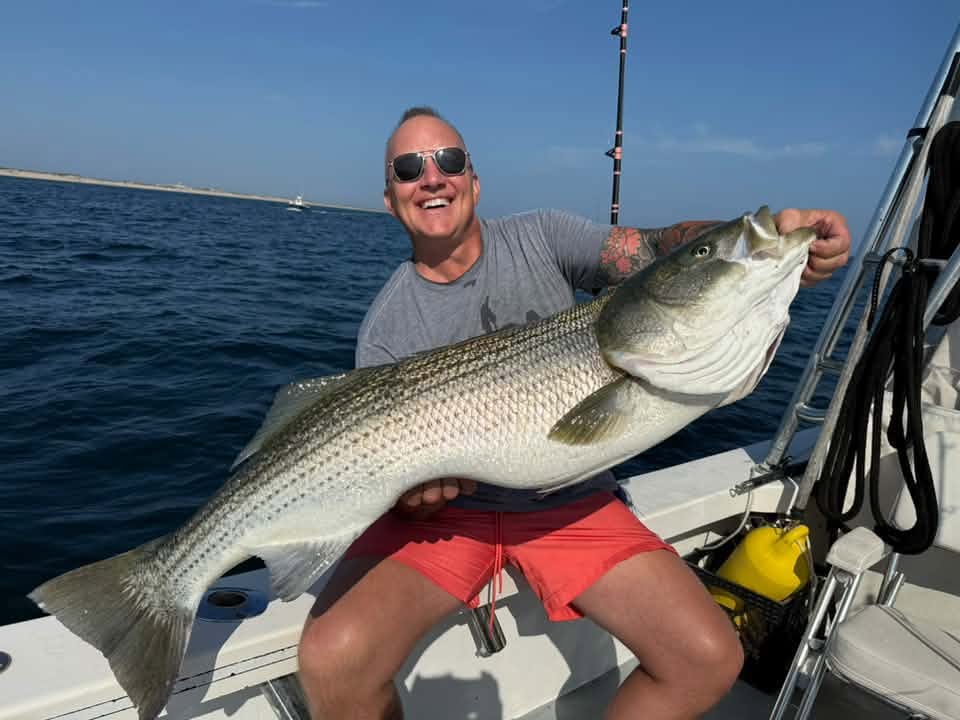 2026: The Year of the Big Striped Bass — What It  Could Mean for Cape Cod and the Future of the Fishery