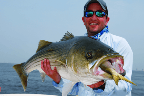 Bunker on Cape Cod: How Menhaden Populations Affect Striped Bass Fishing