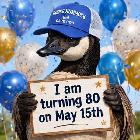 WHAT'S A GOOSE HUMMOCK?