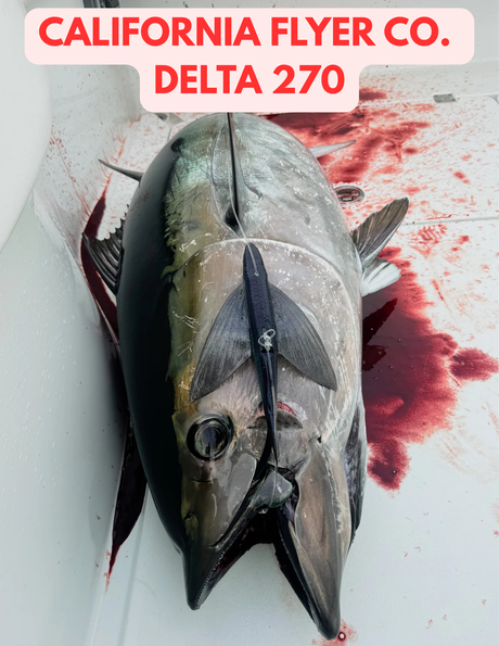 California Flyer Co. Delta Flyer 270 