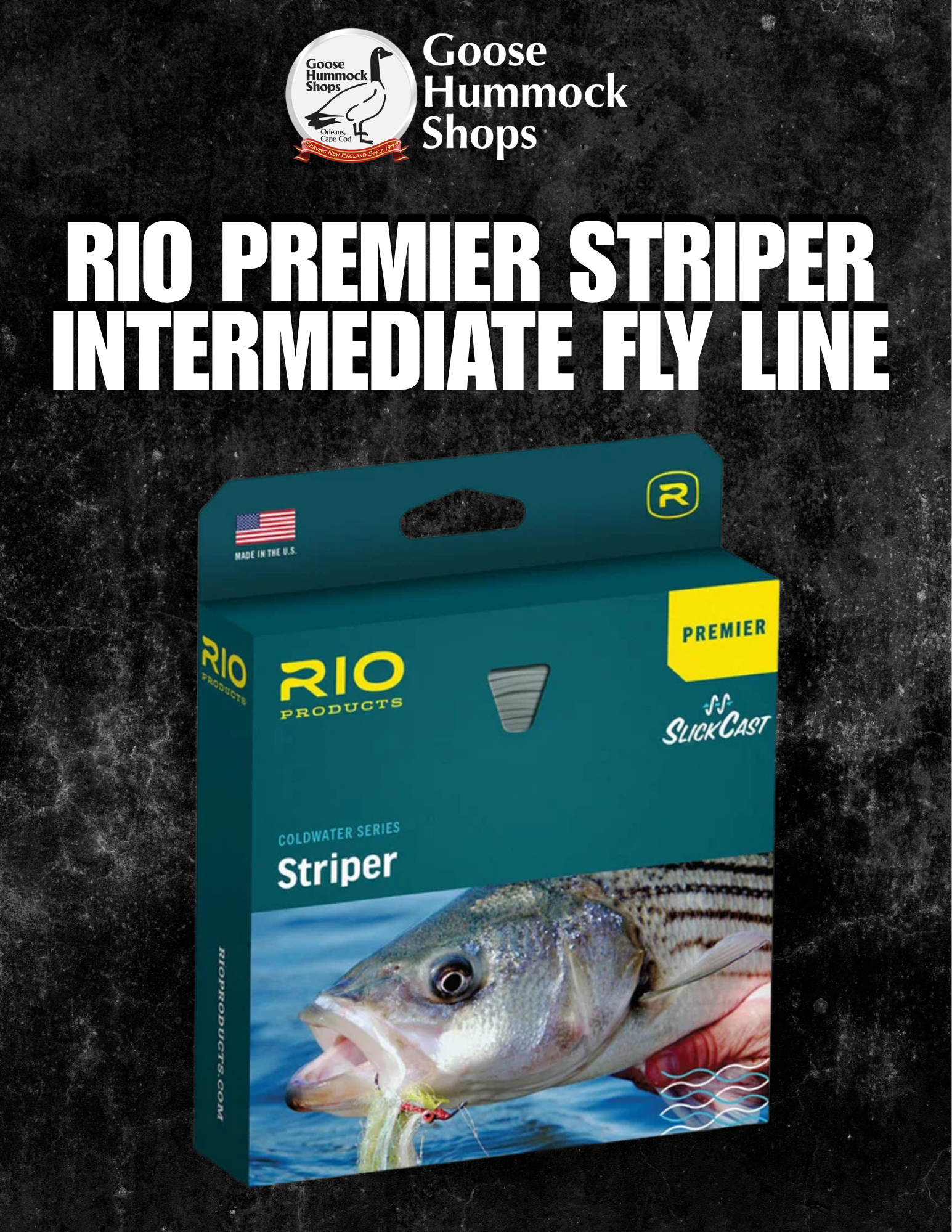 The Best Fly Line for Fall Fishing on Cape Cod?