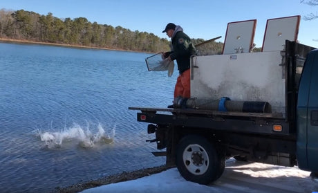 6 Must-Have Lures & Baits After Trout Are Stocked on Cape Cod