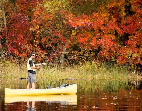 Fall Trout Stocking Is Underway on Cape Cod — And It’s Time to Hit the Ponds!