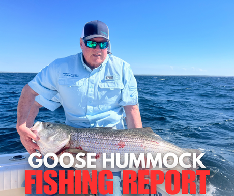 Cape Cod Fishing Report 5/8/25