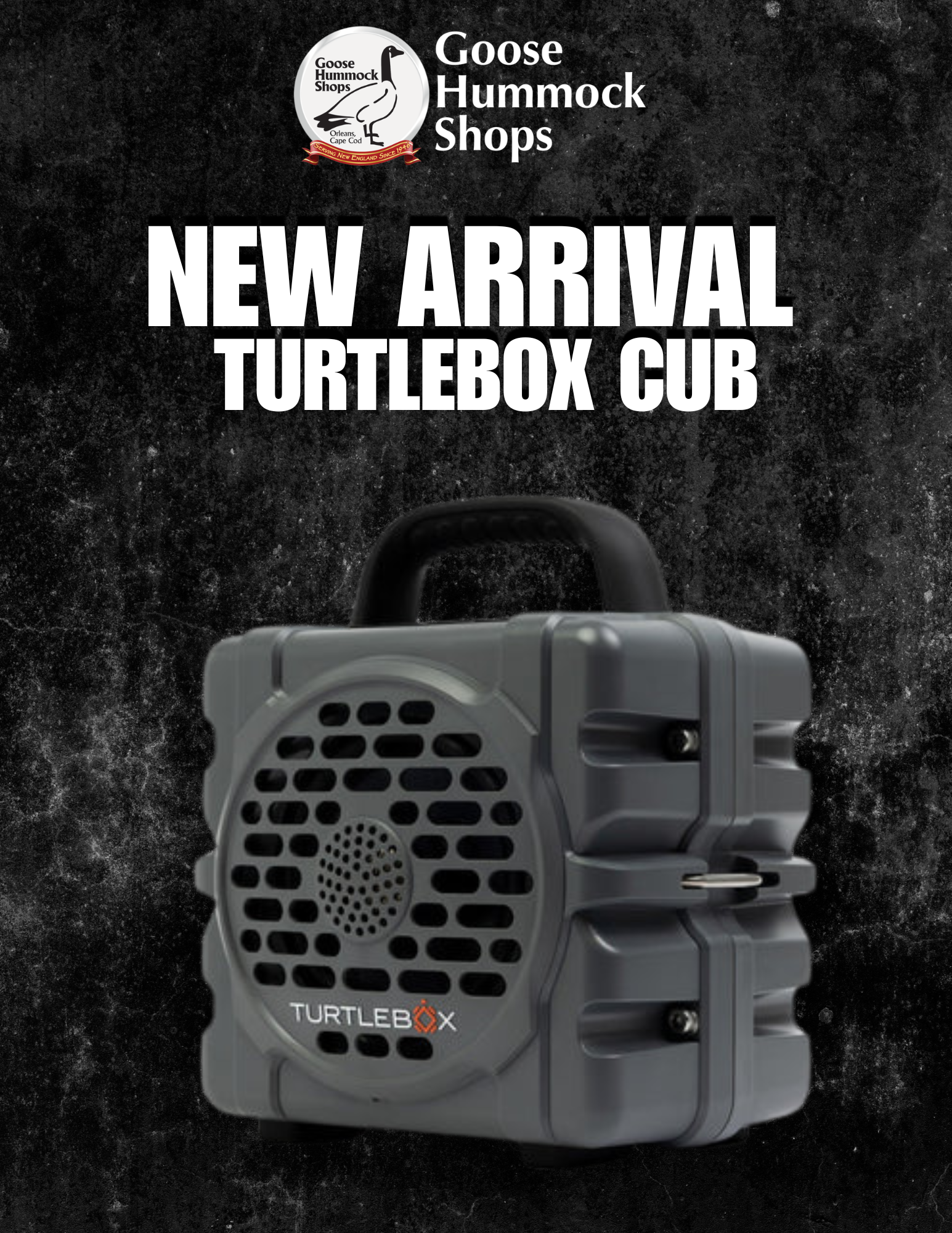 Turtlebox Cub Review: Small Speaker, Serious Outdoor Performance