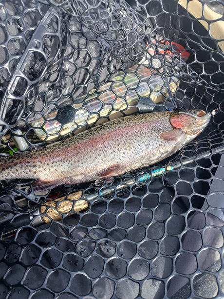 Fishing Report 04/04/25