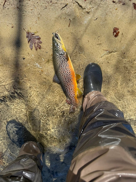 MAY 1, 2025 FISHING REPORT