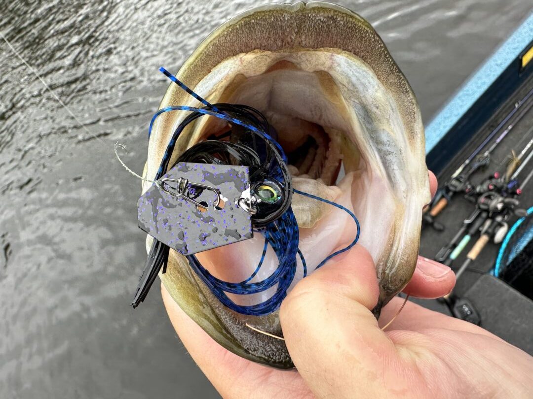cod fishing with lures Gibbs Jig #126, 26 oz, 738 g Finished with an extra strong swivel Bait Fishing at the Cape