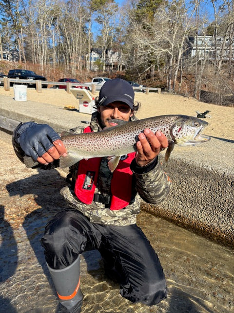 How Long Does It Take for Trout to Acclimate to a Pond After They Are Stocked?