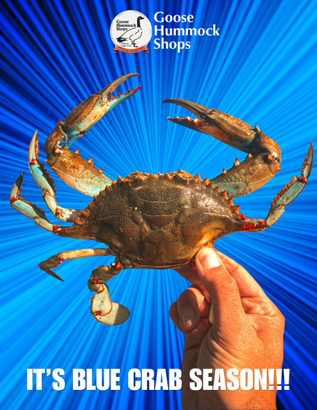Blue Crabbing on Cape Cod in July & August: The Ultimate Family Summer Adventure