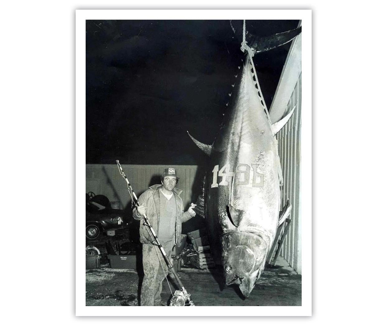 How Big Do Bluefin Tuna Get?