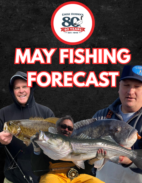 Goose Hummock Cape Cod Fishing Forecast – May