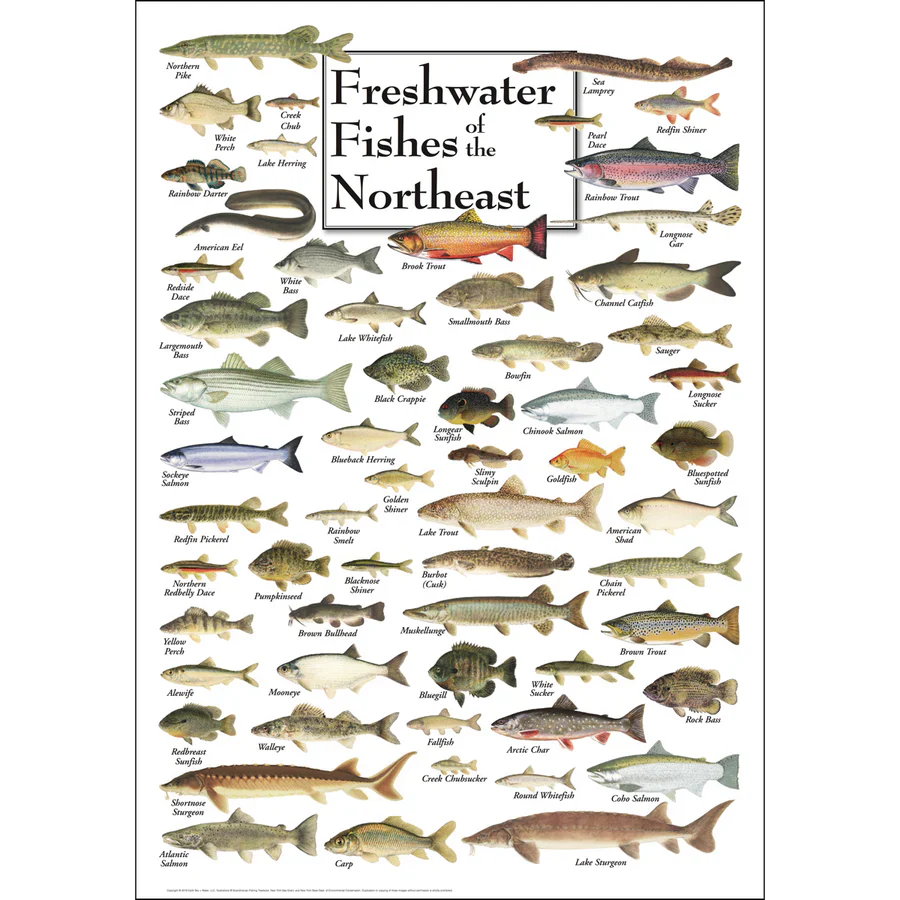 Earth Sky + Water Nature Posters