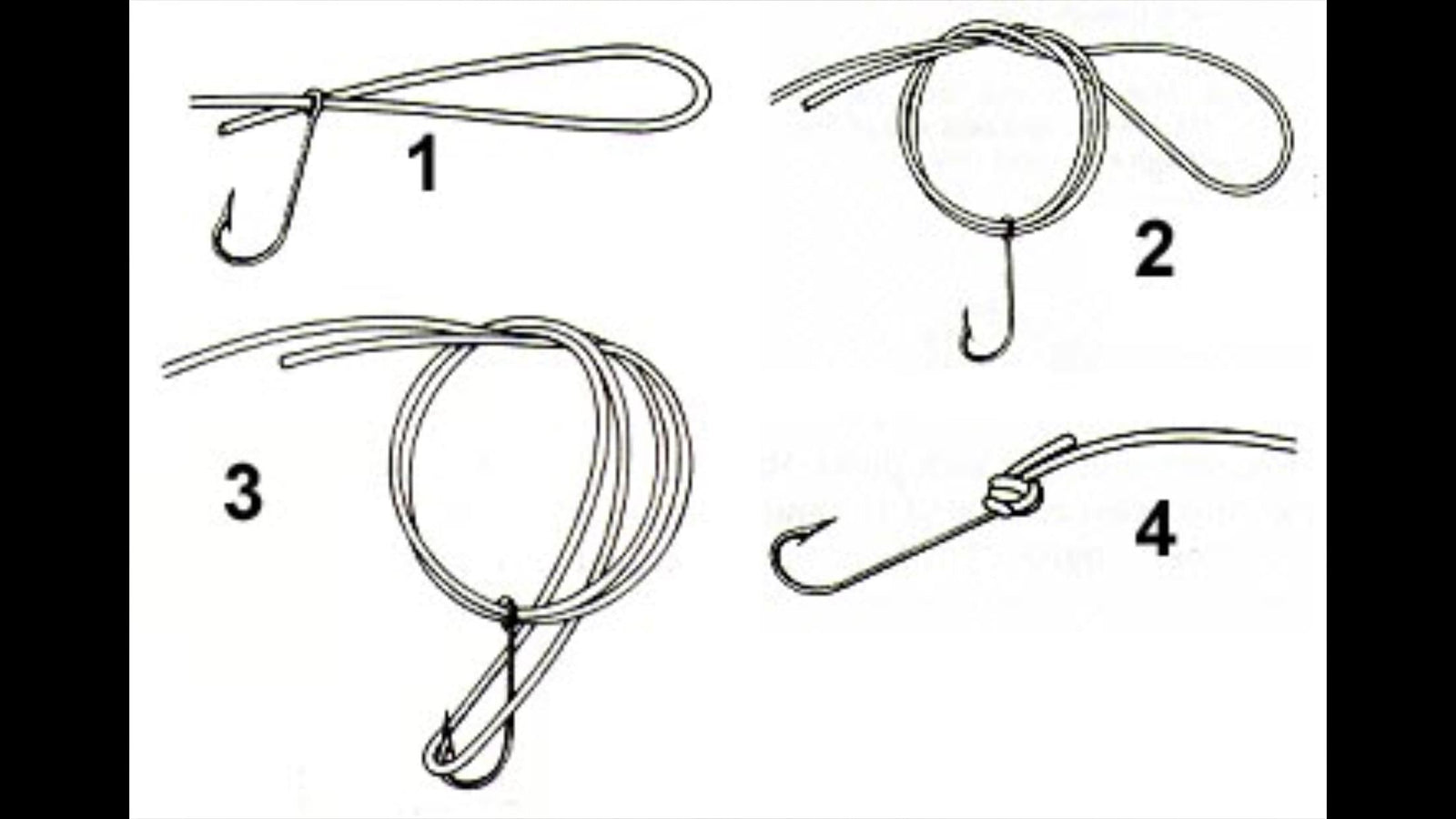 THE KING OF KNOTS- THE PALOMAR
