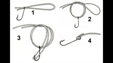 THE KING OF KNOTS- THE PALOMAR