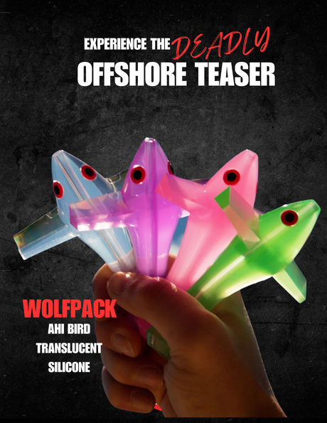 WolfPack Ahi Bird Translucent Silicone Review: A Deadly Offshore Teaser Built to Raise Fish