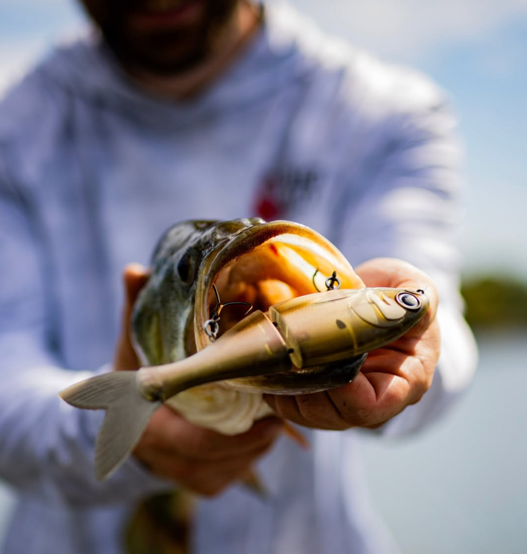 Why is everyone talking about the BUCCA BRAND 8" Trick Shad?