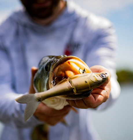 Why is everyone talking about the BUCCA BRAND 8" Trick Shad?
