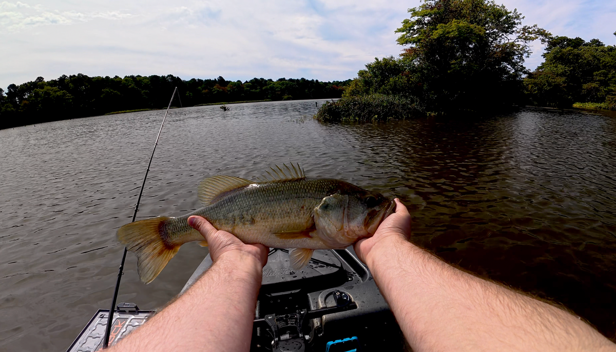 Don’t Forget the Cape’s Ponds This Fall — The Fishing Will Be Off the Hook!