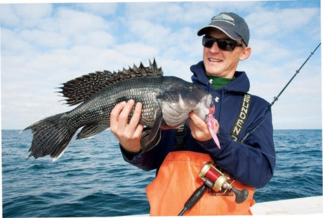 Black Sea Bass Fishing Nantucket Sound: Great for Beginners and the Whole.....