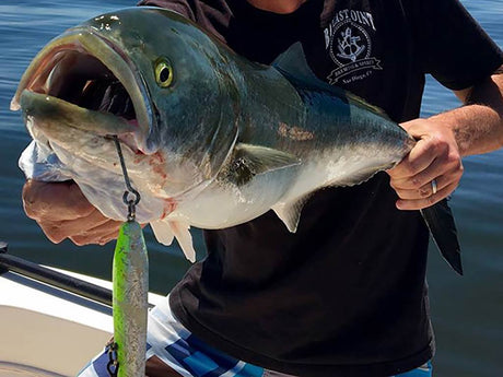 Bluefishing in Nantucket Sound in June