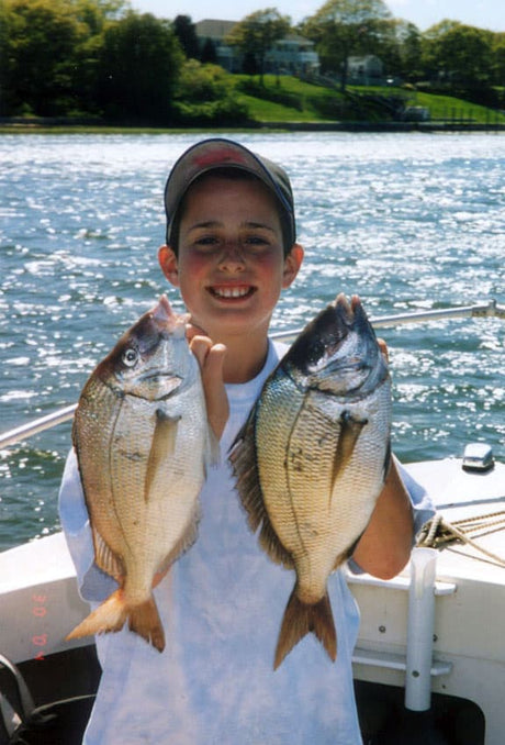 Light-Tackle Gold: Why Golden Sea Bream Are a Perfect Cape Cod Game Fish