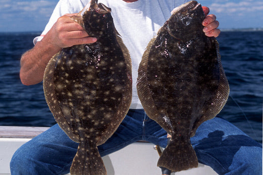 Fishing Cape Cod for Fluke on the Monomoy Shoals