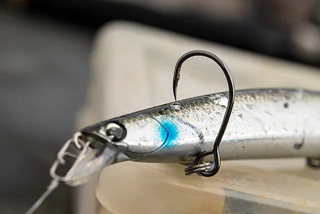 The Effectiveness of Changing Out Treble Hooks: Fish Mortality and Catch-and-Release Success