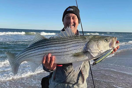 Striped Bass Behavior at 50 Degrees on Cape Cod