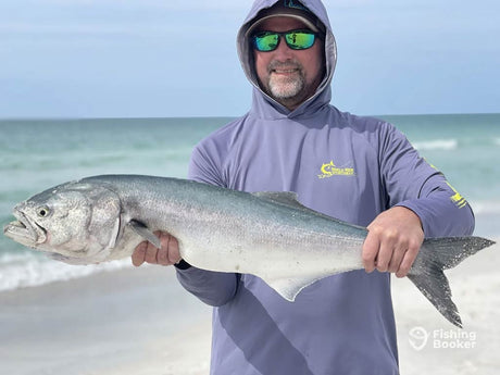 When Will The Bluefish Show Up?