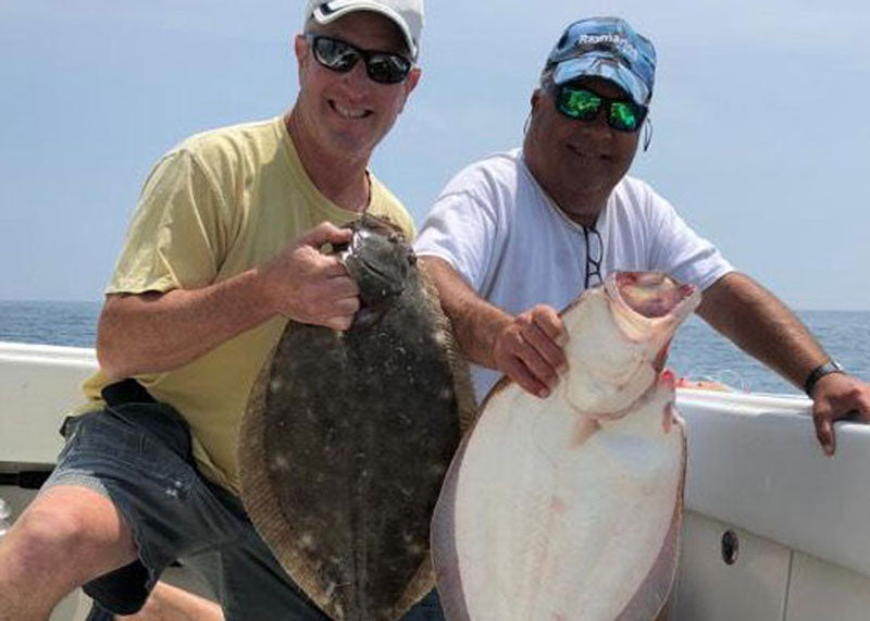 Fluke Season Heats Up: How to Catch Summer Doormats on Cape Cod