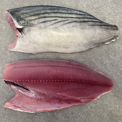 You Caught a Bonito—Now Don't Ruin It