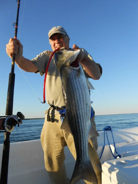 Fall Tube and Worm Fishing: The Cape Cod Trick for Big Stripers