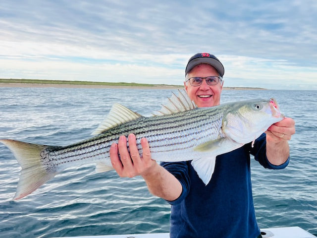 Are Striped Bass Expanding North Into Canadian Waters? Could Their Changing Range Be Contributing to Declining Numbers in the Northeast?