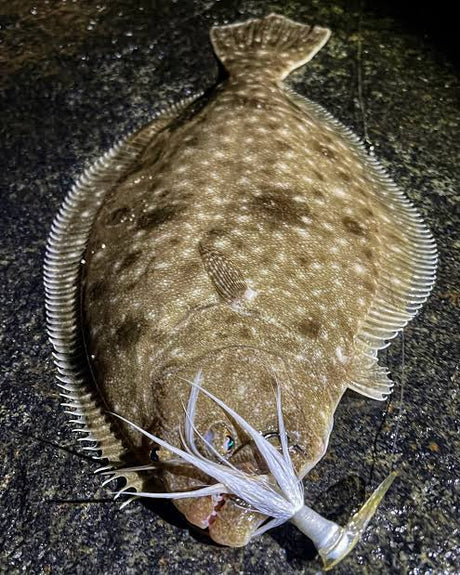 Fluke Fishing in Chatham During July and August